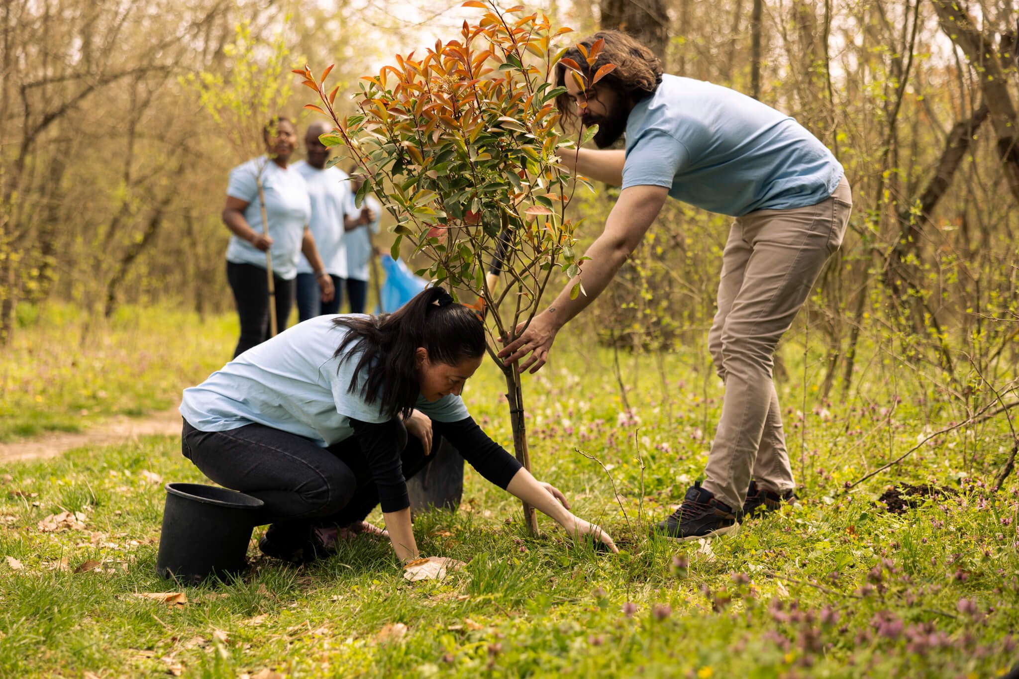 National Tree Week (Nov 23rd to Dec 1st)