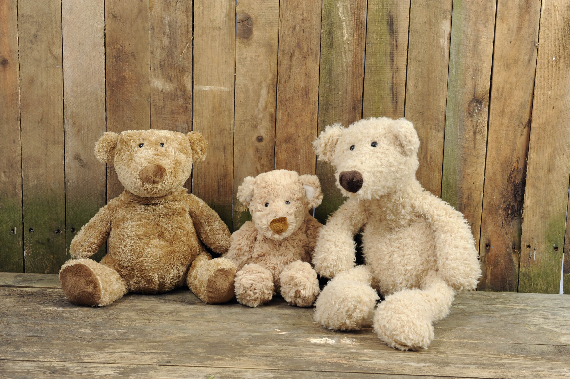 Teddy Bear Day (9th September) Days Of The Year