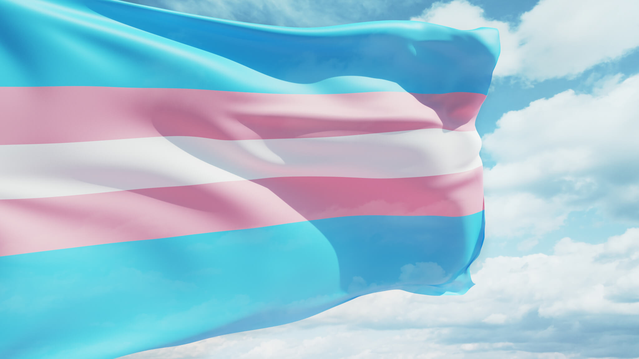 Transgender Day of Remembrance (November 20th)